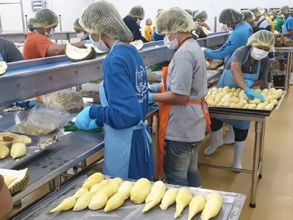 กรมส่งเสริมสหกรณ์ขานรับนโยบายเร่งด่วน “รมช.ปิยะรัฐชย์” ผนึกกำลังเครือข่ายสหกรณ์ทั่วประเทศ เปิดปฏิบัติการเร่งระบาย "นม อ.ส.ค. - ผลไม้ฤดูกาล" หวังช่วยเกษตรกรพ้นวิกฤตสินค้าล้นตลาด
