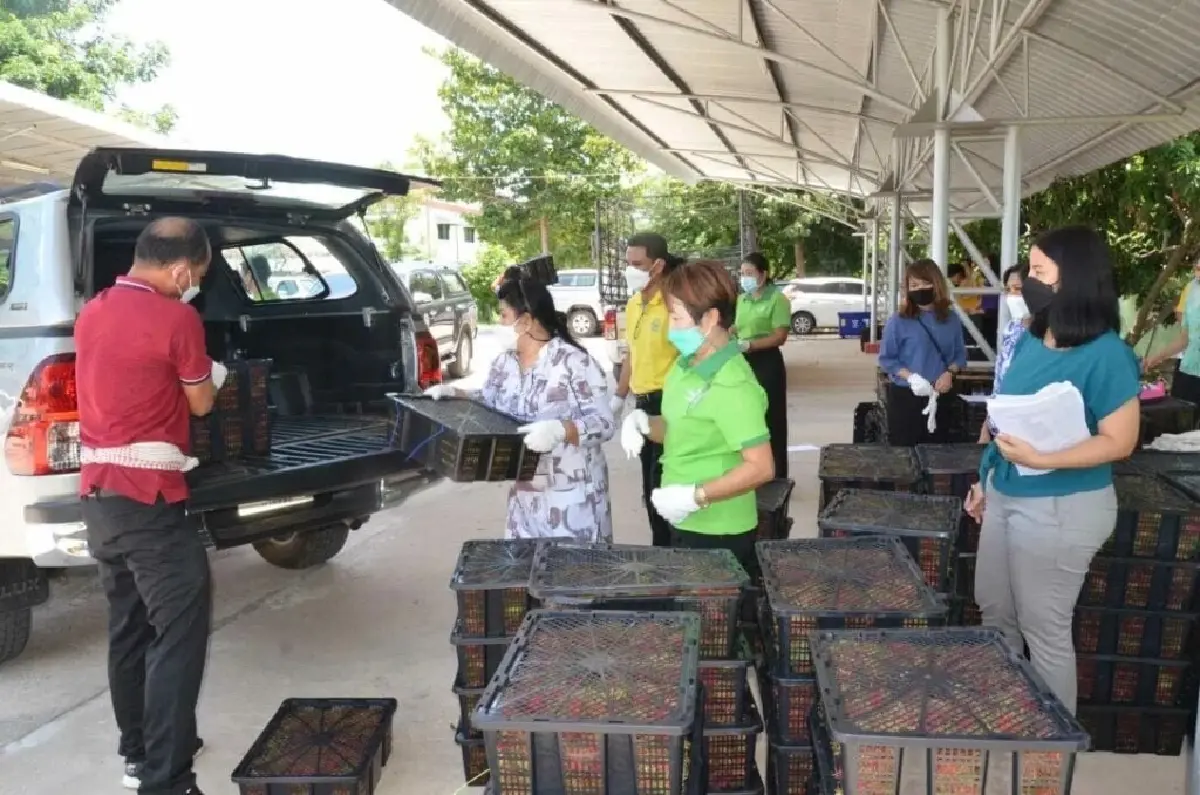 กรมส่งเสริมสหกรณ์ขานรับนโยบายเร่งด่วน “รมช.ปิยะรัฐชย์” ผนึกกำลังเครือข่ายสหกรณ์ทั่วประเทศ เปิดปฏิบัติการเร่งระบาย "นม อ.ส.ค. - ผลไม้ฤดูกาล" หวังช่วยเกษตรกรพ้นวิกฤตสินค้าล้นตลาด