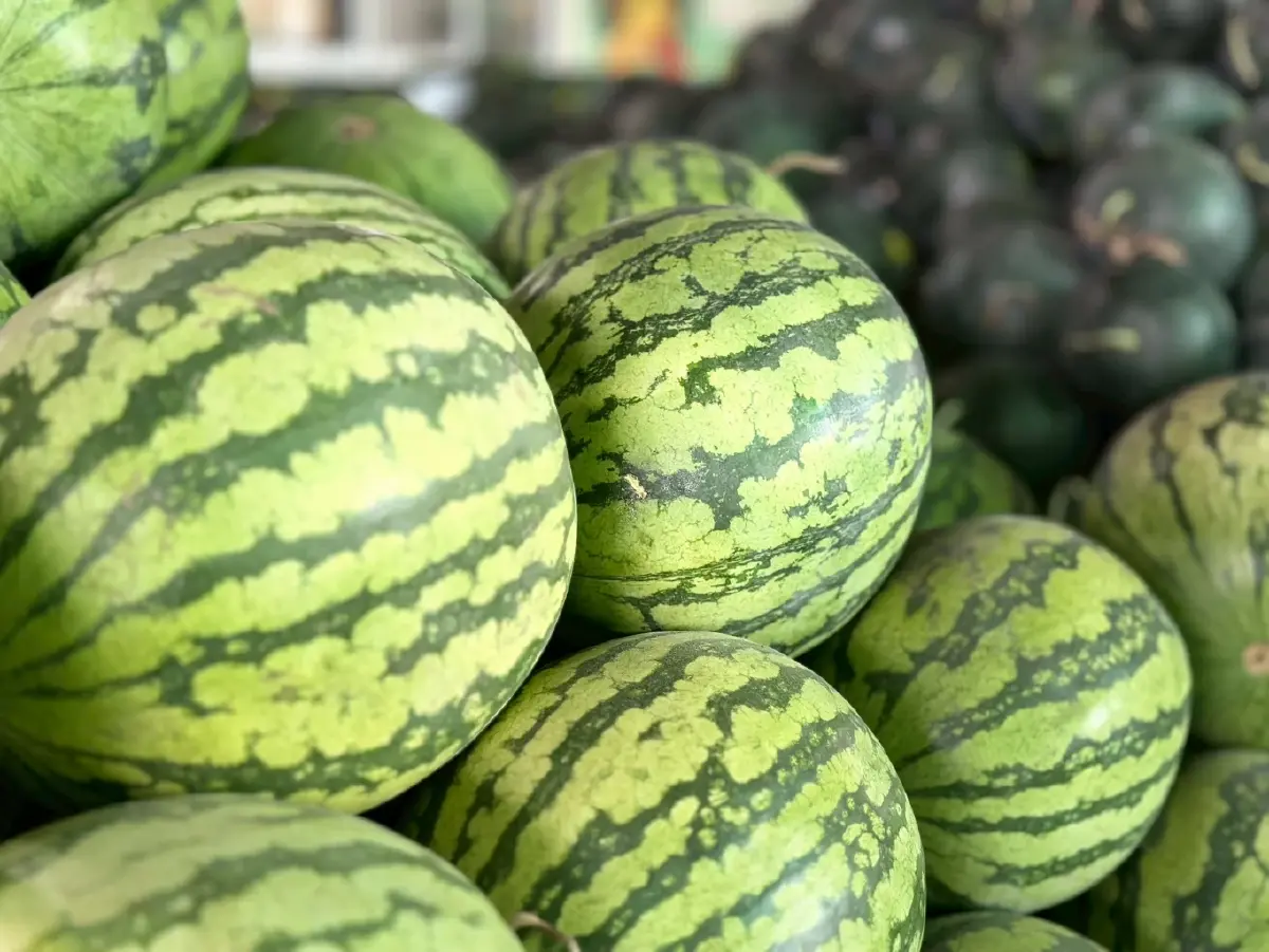 "ณิชชา" แบกหนี้ 6 ล้านตั้งแต่อายุ 19 พลิกชีวิตสู่ราชินีแตงโมไทย ขายได้ลูกละพัน