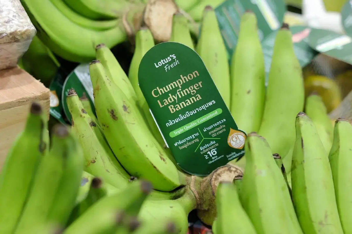 แม็คโคร-โลตัส ผนึกกรมทรัพย์สินทางปัญญา ปั้นแหล่งรวมสินค้า GI อันดับ 1 ช่วยเกษตรกรไทยโตยั่งยืน