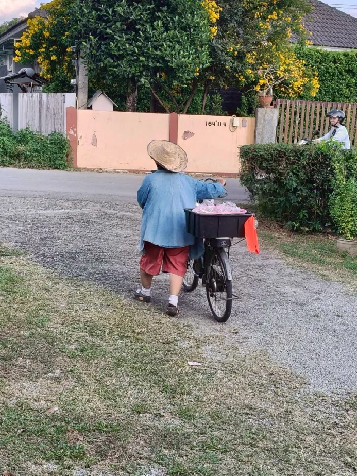 ปั่นจักรยานขายเห็ด ทางเลือกอาชีพชุมชนสู่ความยั่งยืนภาคการเกษตร