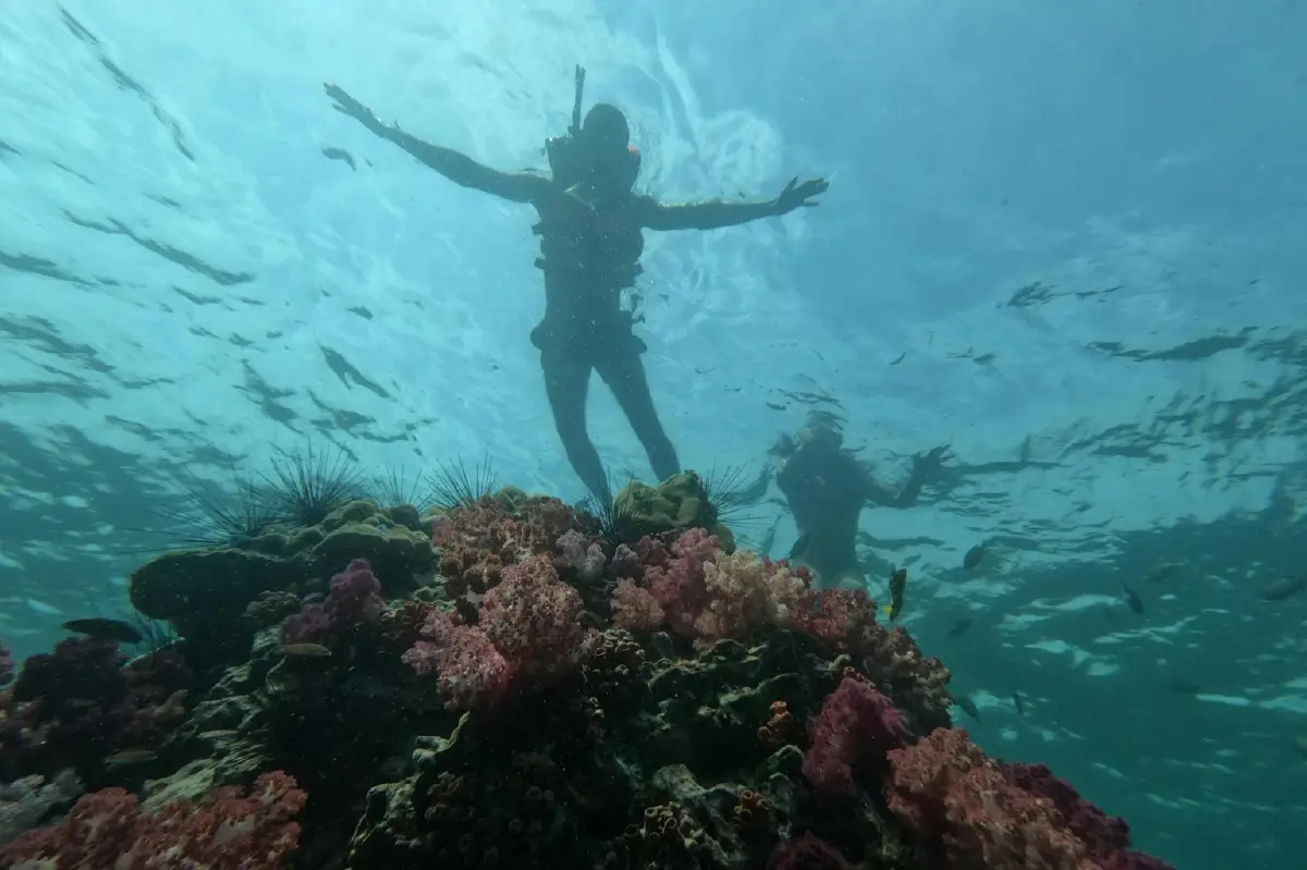 เวียตเจ็ทเปิด Fly2Ferry จองบินต่อเรือ One-Stop Service สู่ 3 เกาะดัง