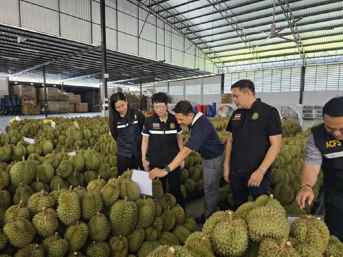 กรมวิชาการเกษตรจับมือพาโกดา ดันทุเรียน-ผลไม้รุกจีน ลุ้นเปิดตลาดอินทผลัม-สละ