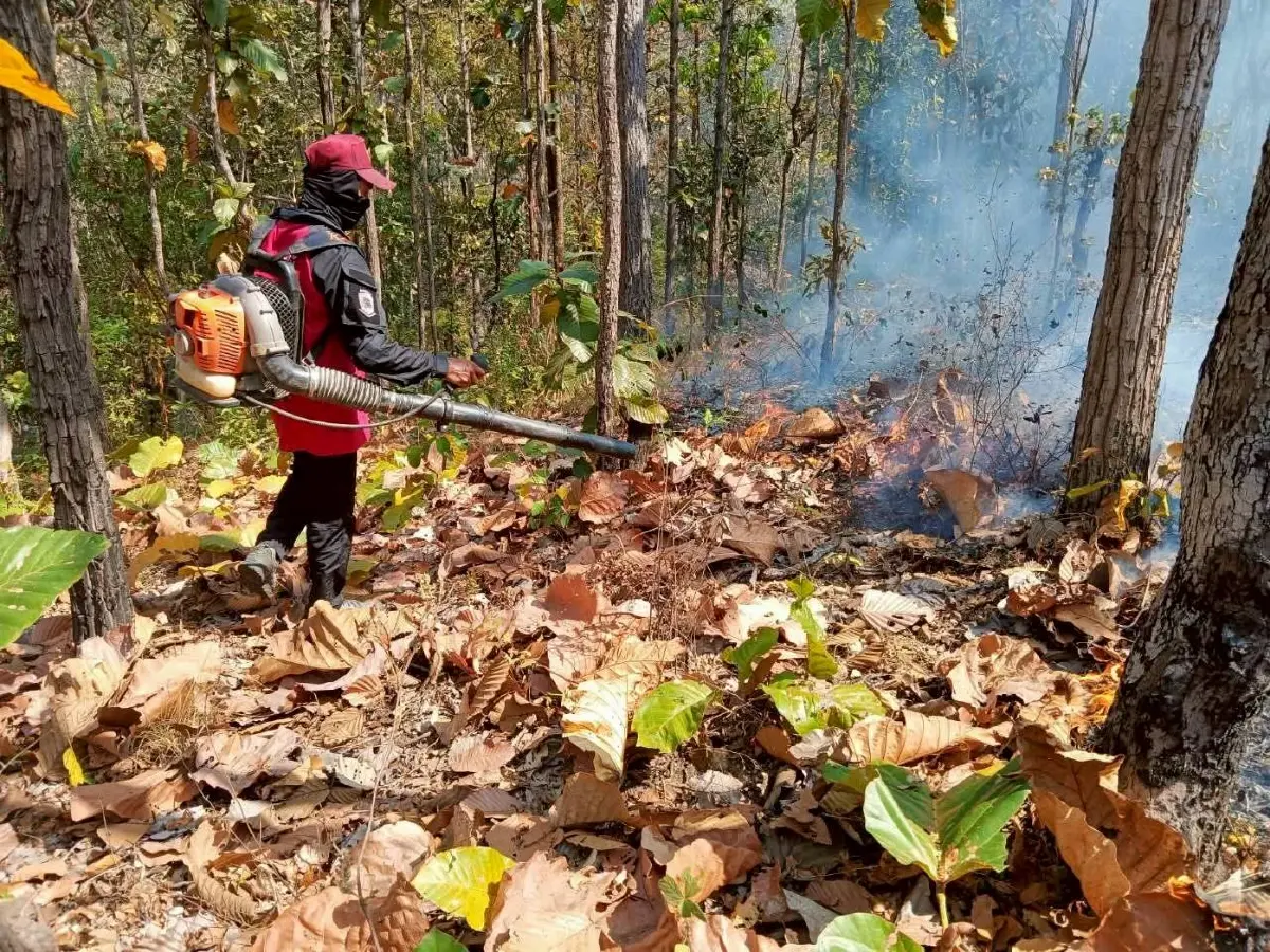 ‘อนุทิน’ เตรียมยกทีม รมต. ลงพื้นที่ จ.เชียงใหม่ ติดตามมาตรการแก้ปัญหาไฟป่า-ฝุ่น PM2.5