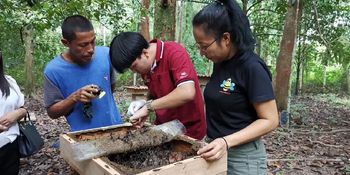 บพท. ดันน้ำผึ้งไทยสู่ซูเปอร์แบรนด์ระดับโลก ฝ่าวิกฤตน้ำผึ้งปลอม