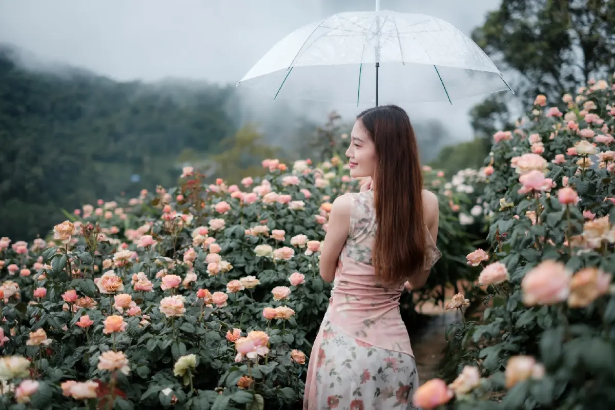 โสดโปรดเที่ยว ! ททท. ผุดแคมเปญ LOVE Season ชวนคนโสดเช็กอินทริปหน้าฝน