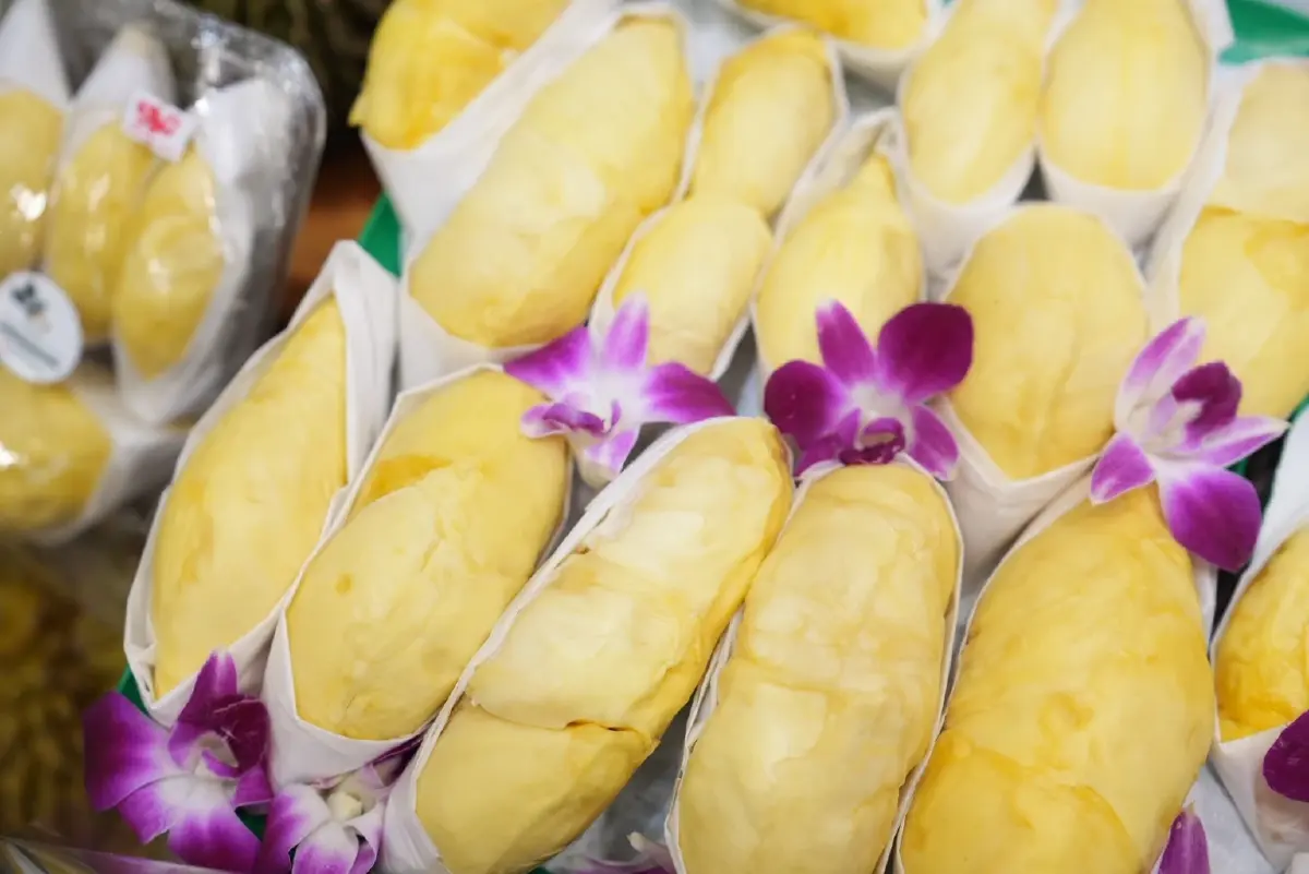ไอคอนสยาม จัดมหกรรมผลไม้ไทยครั้งยิ่งใหญ่ ขนทัพ “ทุเรียน 30 สายพันธุ์” และผลไม้ 5 ภูมิภาค เสิร์ฟความอร่อยถึง 31 พฤษภาคมนี้