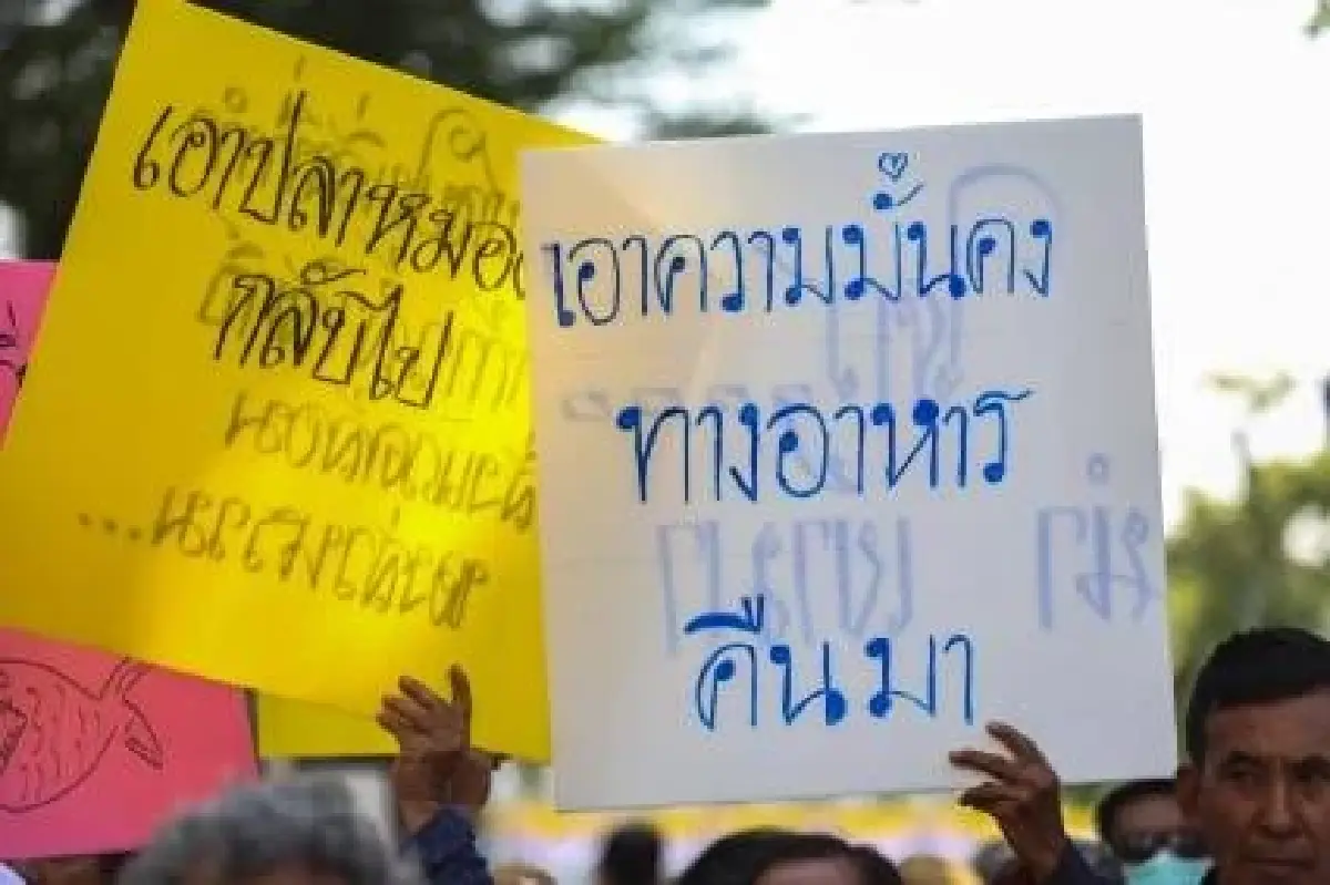 แฟ้มภาพ : Nation photo