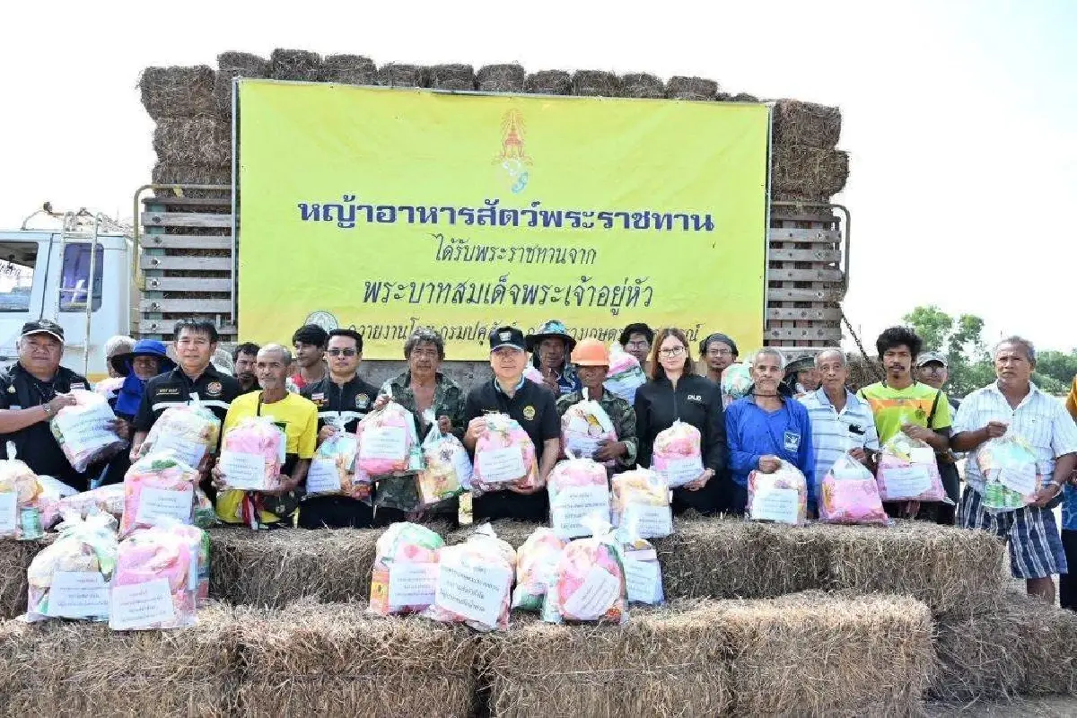 "สุริยะ" สั่งกรมปศุสัตว์เตรียมหน่วยสัตวแพทย์–แผนอพยพสัตว์ รับมือฝน–น้ำท่วม