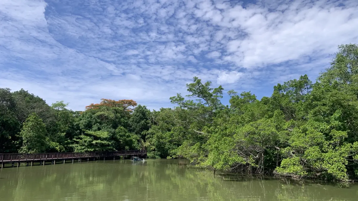 บึ้งน้ำภายในสวนสาธารณะและสวนพฤกษชาติ ศรีนครเขื่อนขันธ์