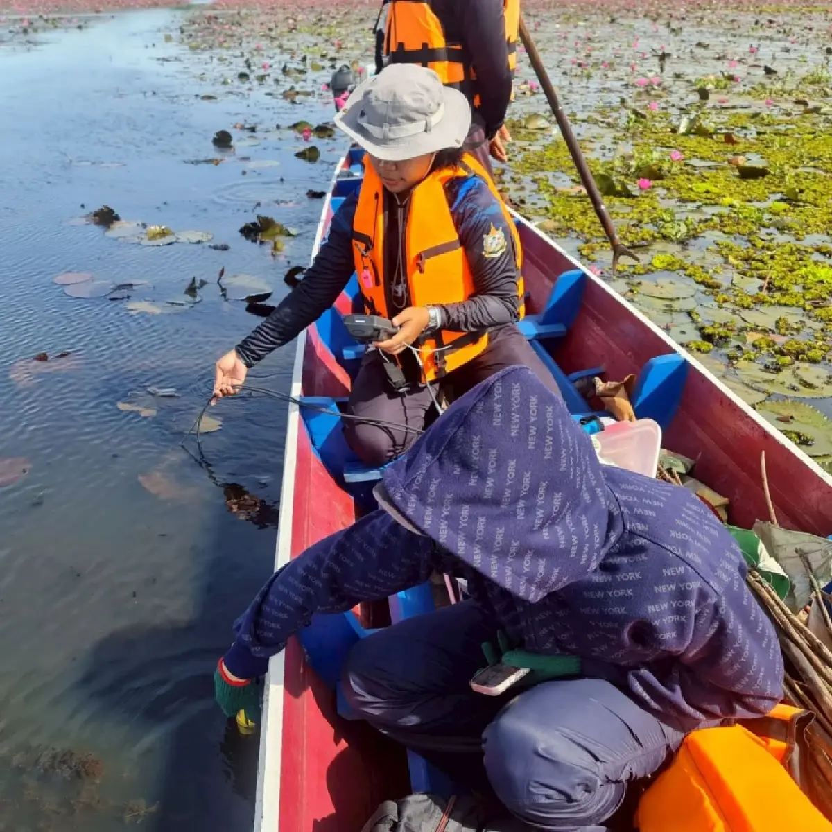 ไม่พบปลาหมอคางดำในทะเลน้อย–ทะเลสาบสงขลาตอนบน ทช. ย้ำเฝ้าระวังต่อเนื่อง