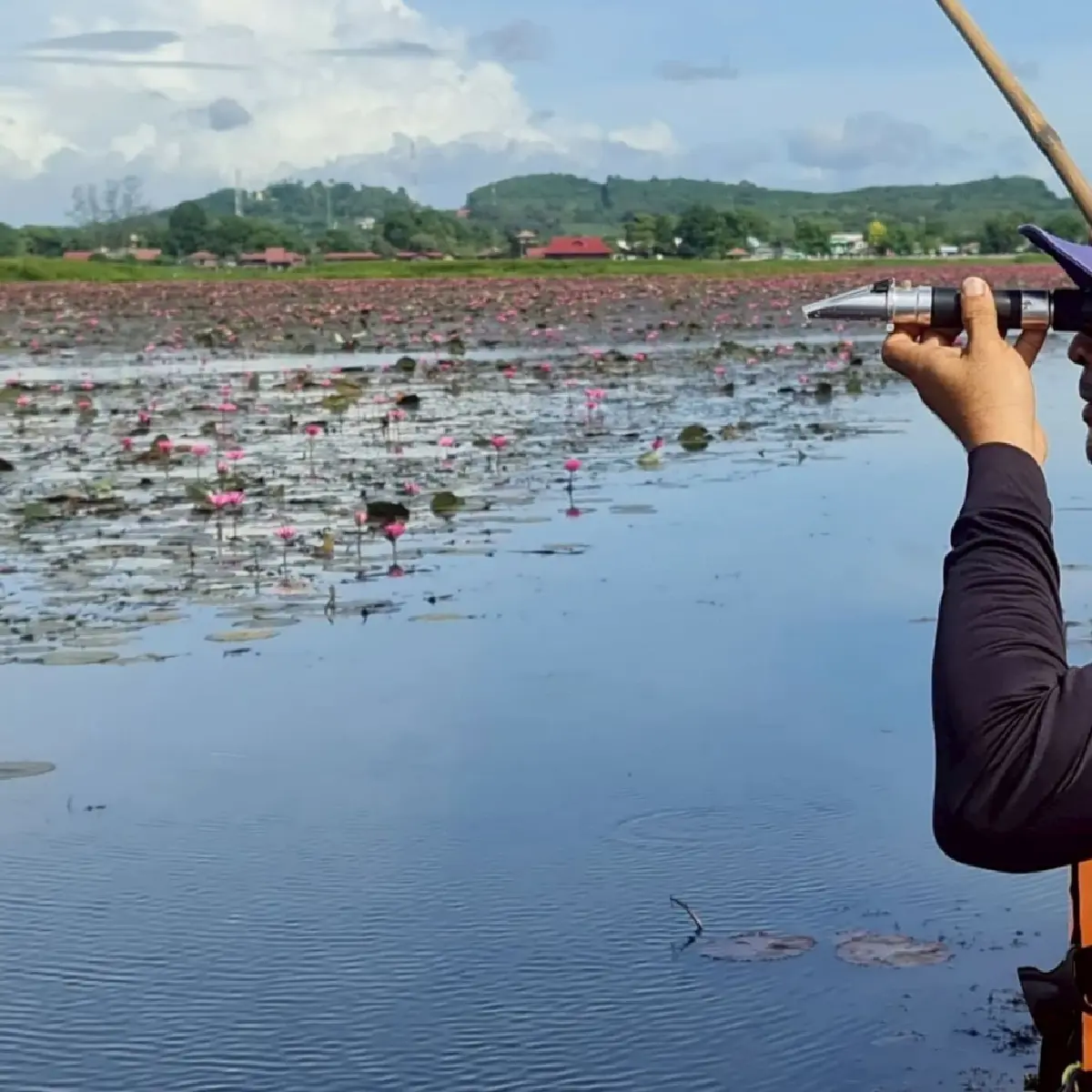 ไม่พบปลาหมอคางดำในทะเลน้อย–ทะเลสาบสงขลาตอนบน ทช. ย้ำเฝ้าระวังต่อเนื่อง