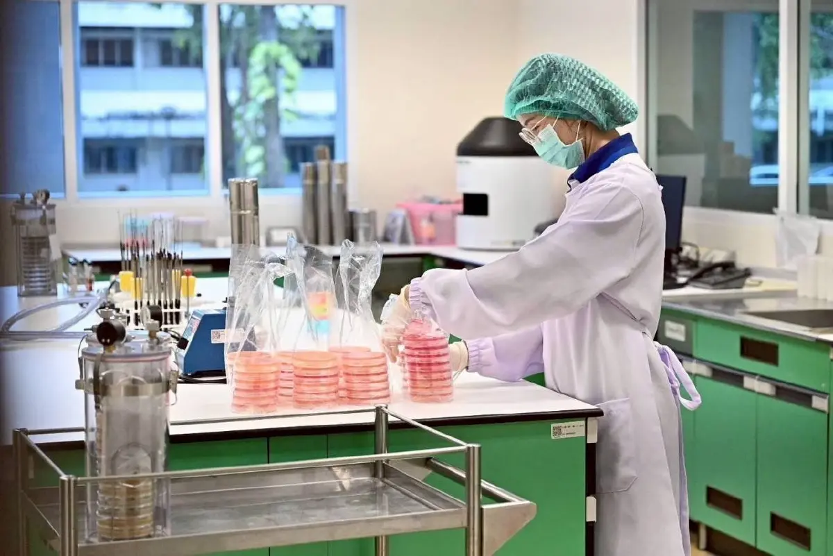 เตือน! หมูดิบตลาดสดอุบลฯ  ปนเปื้อนเชื้อไข้หูดับ 83%