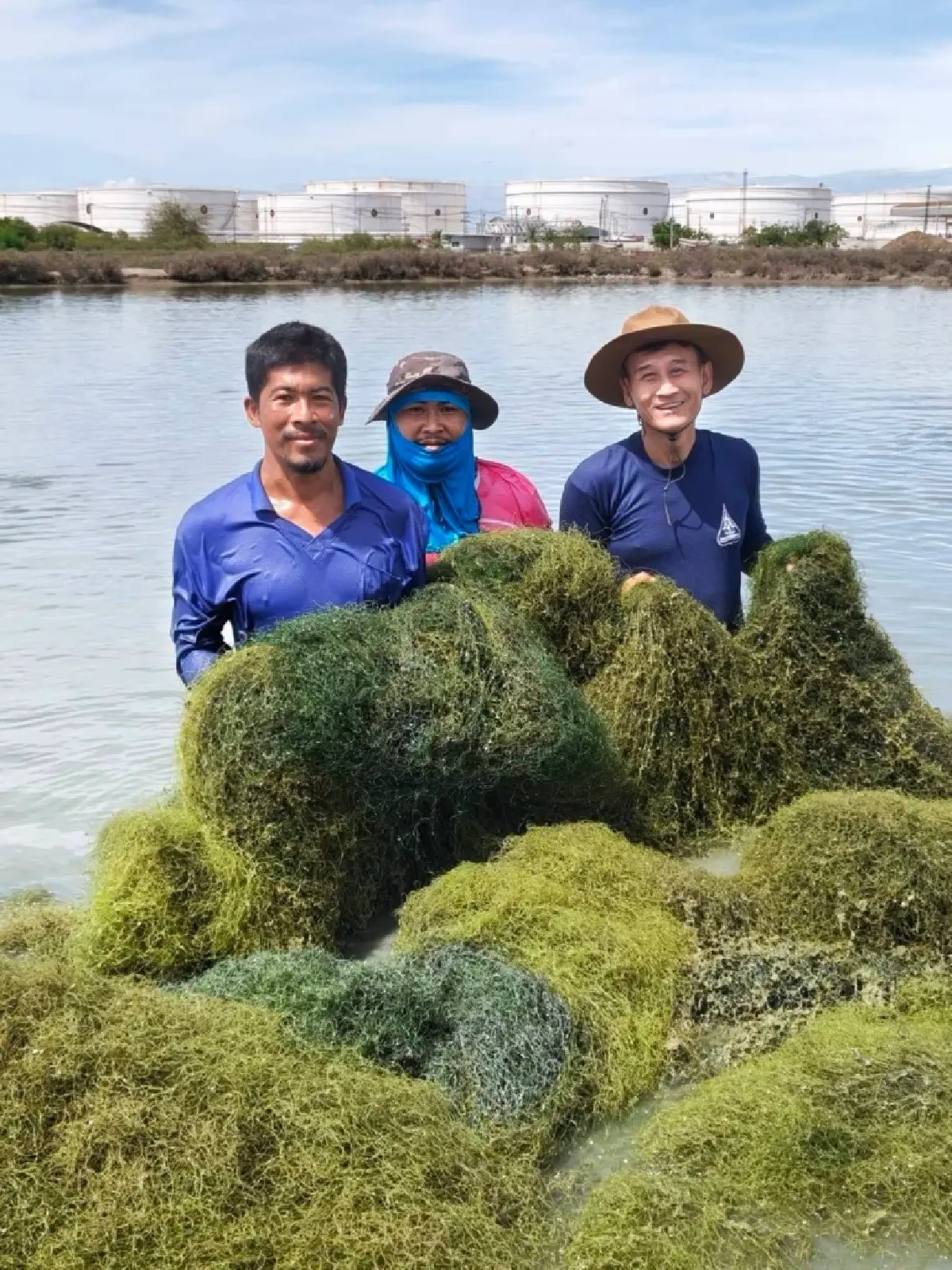 เปลี่ยนวัชพืชเป็นรายได้! รัฐบาลชู “ผ้าลายปลาทูบ้านชะอาน” เพิ่มมูลค่าสินค้าชุมชน