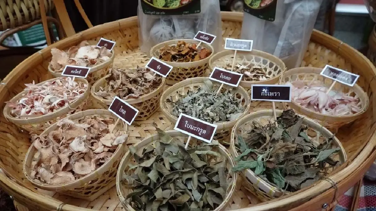 เปิดมิติใหม่ 'น่าน' เมืองแห่งภูมิปัญญา ต่อยอดตำรายาโบราณ 700 ปีสู่ระดับสากล