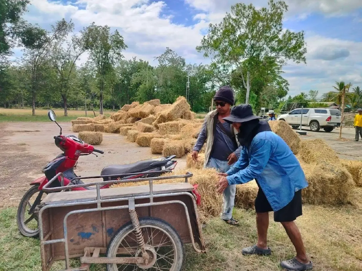 "สุริยะ" สั่งกรมปศุสัตว์เตรียมหน่วยสัตวแพทย์–แผนอพยพสัตว์ รับมือฝน–น้ำท่วม