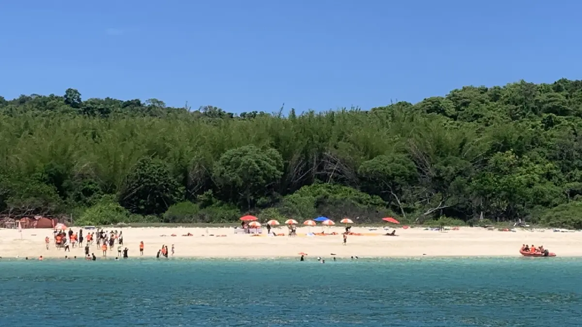 พัทยาปักหมุด Wellness Tourism ดันเทรนด์วิ่ง ล่องเรือ และ Pride สู่อนาคตท่องเที่ยว