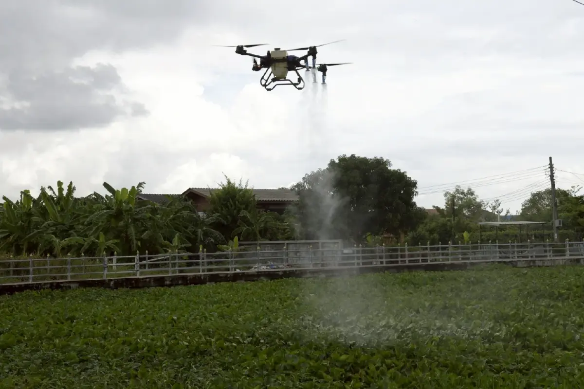 ชลประทานปั้นนวัตกรรมสีเขียว  พลิกเกมกำจัดผักตบชวา สู่ Smart Irrigation