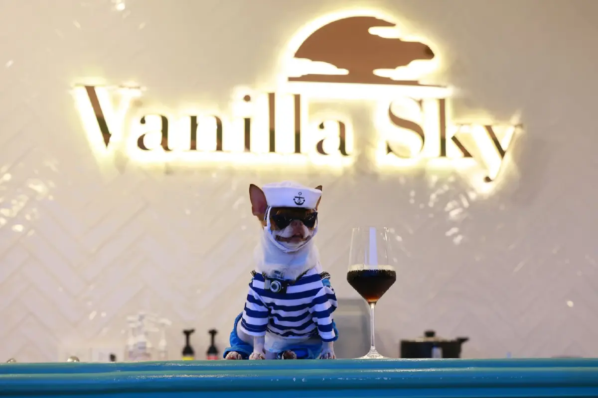 ทาสหมา-แมว ห้ามพลาด GO HOTEL ศรีราชา ให้น้องๆพักฟรี ปักหมด Pet Friendly