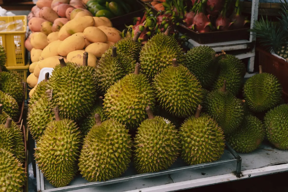 วิกฤตทุเรียนมาเลเซีย! ผลผลิตล้นตลาด พันธุ์พรีเมียมราคาร่วง 90%
