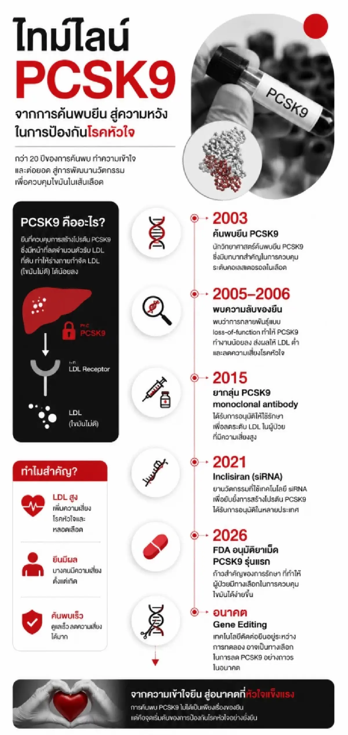 "ไขมันในเลือดสูงได้ไง?" คำตอบอาจอยู่ที่ "ยีน PCSK9"