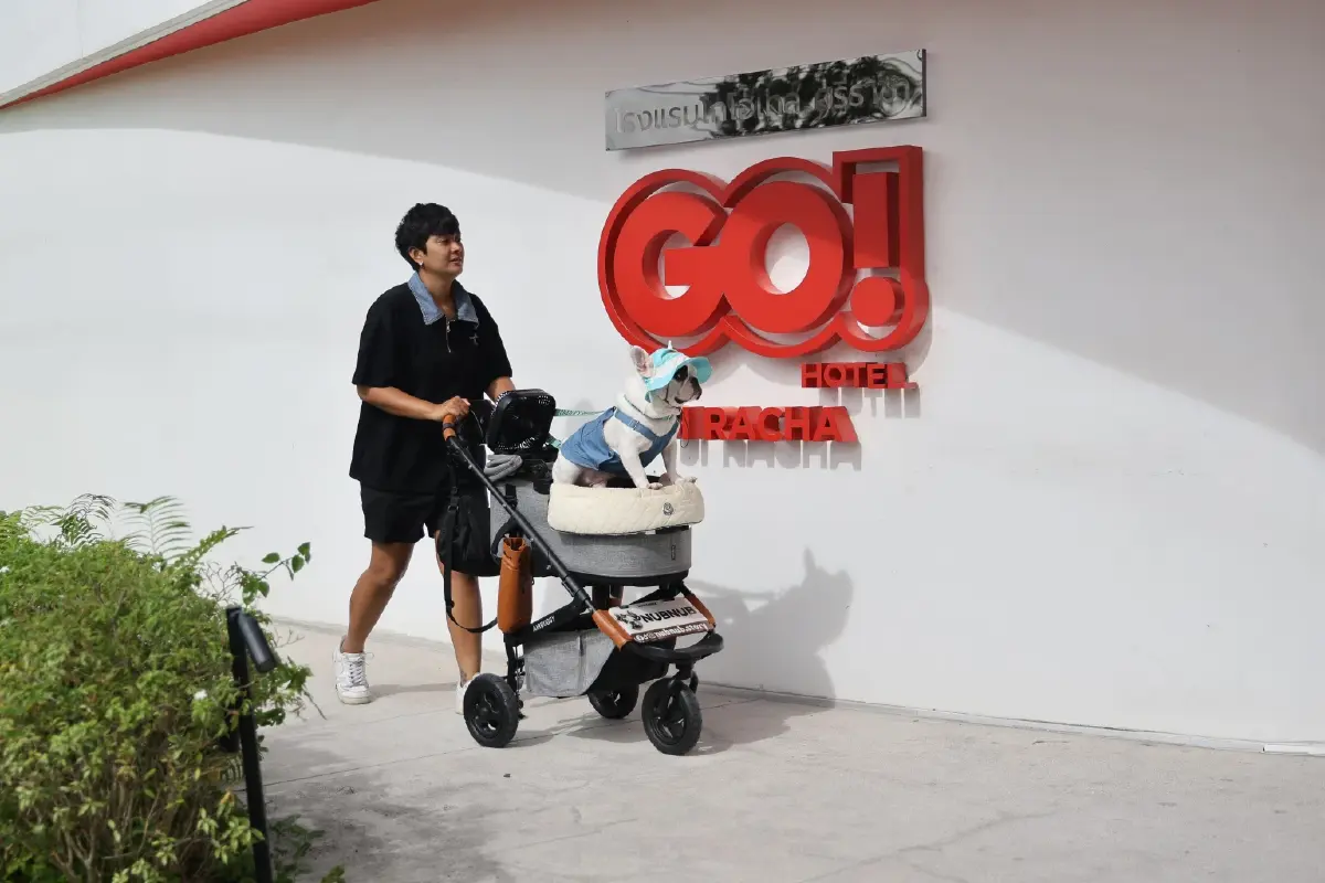 ทาสหมา-แมว ห้ามพลาด GO HOTEL ศรีราชา ให้น้องๆพักฟรี ปักหมด Pet Friendly