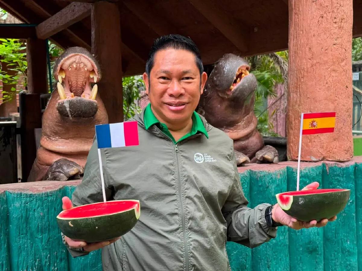 หมูเด้งทายผลบอลโลก 2026 ฟันธง! ฝรั่งเศส-อังกฤษ เข้ารอบชิงชนะเลิศ