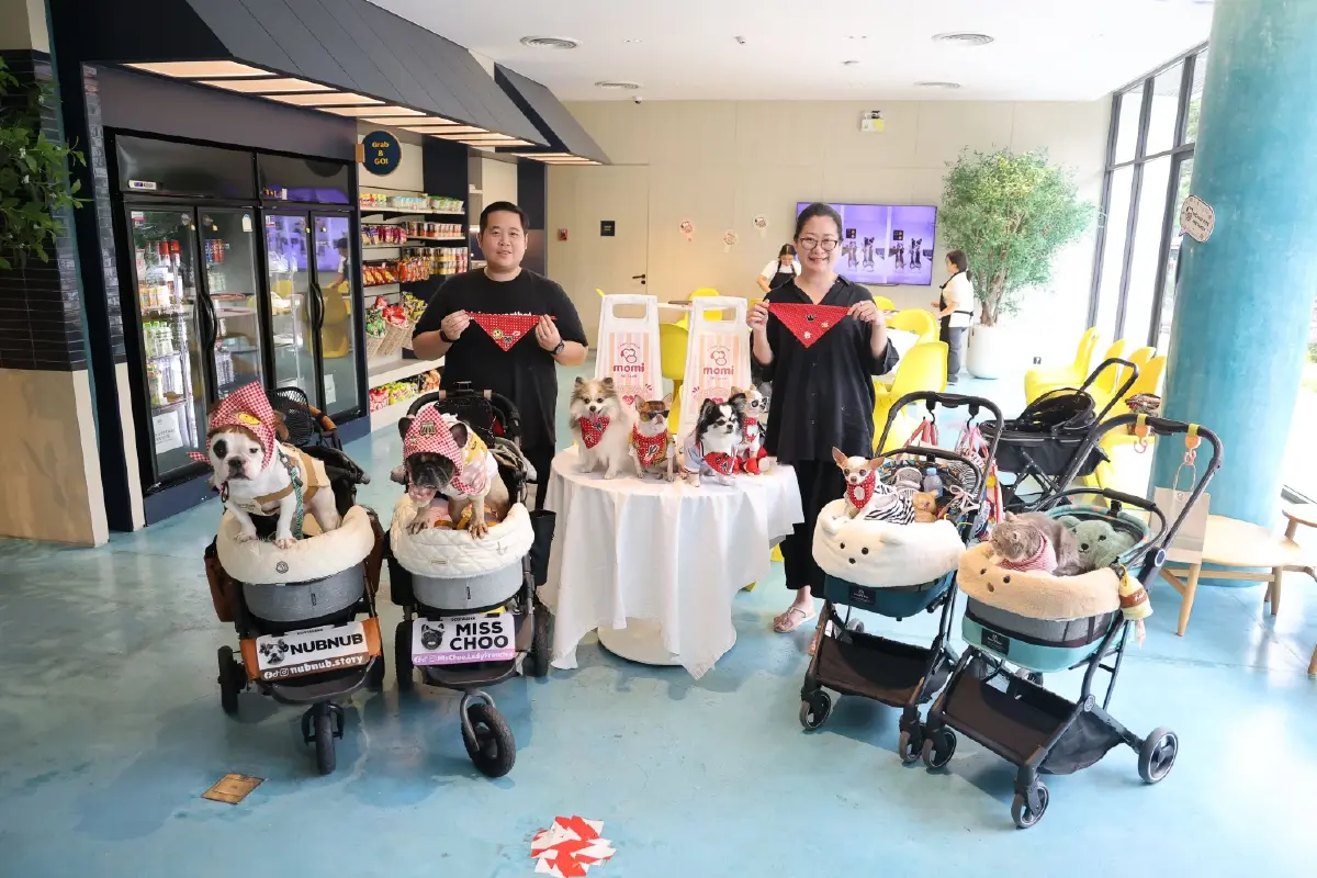 ทาสหมา-แมว ห้ามพลาด GO HOTEL ศรีราชา ให้น้องๆพักฟรี ปักหมด Pet Friendly