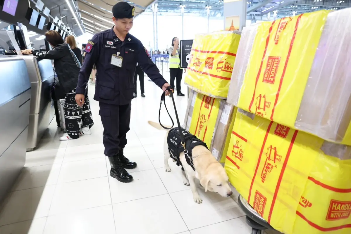 K9 มาแล้ว! ตำรวจหมาตรวจสกัดลักลอบลำเลียงยาเสพติด สุวรรณภูมิ