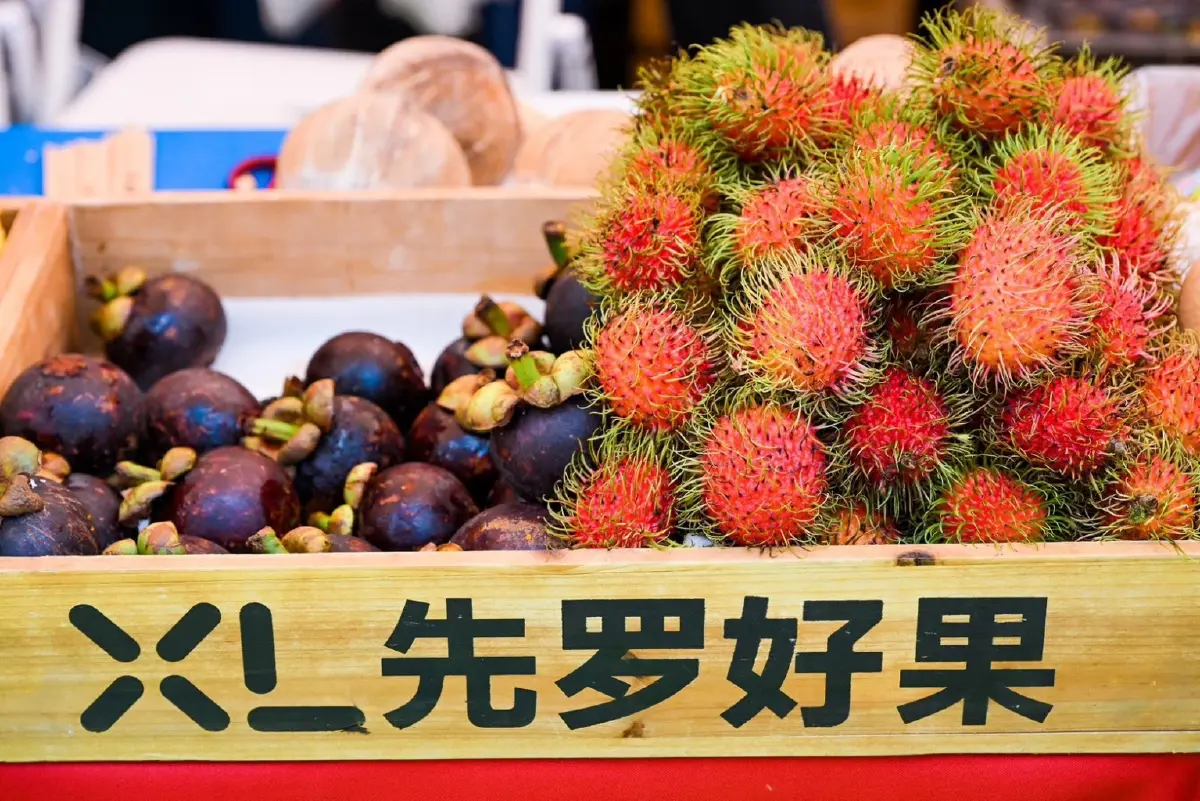 DITP เปิดแผนส่งออกผลไม้ บุกตลาดใหม่ทั่วโลก ดันทุเรียนแตะ 1 ล้านตัน