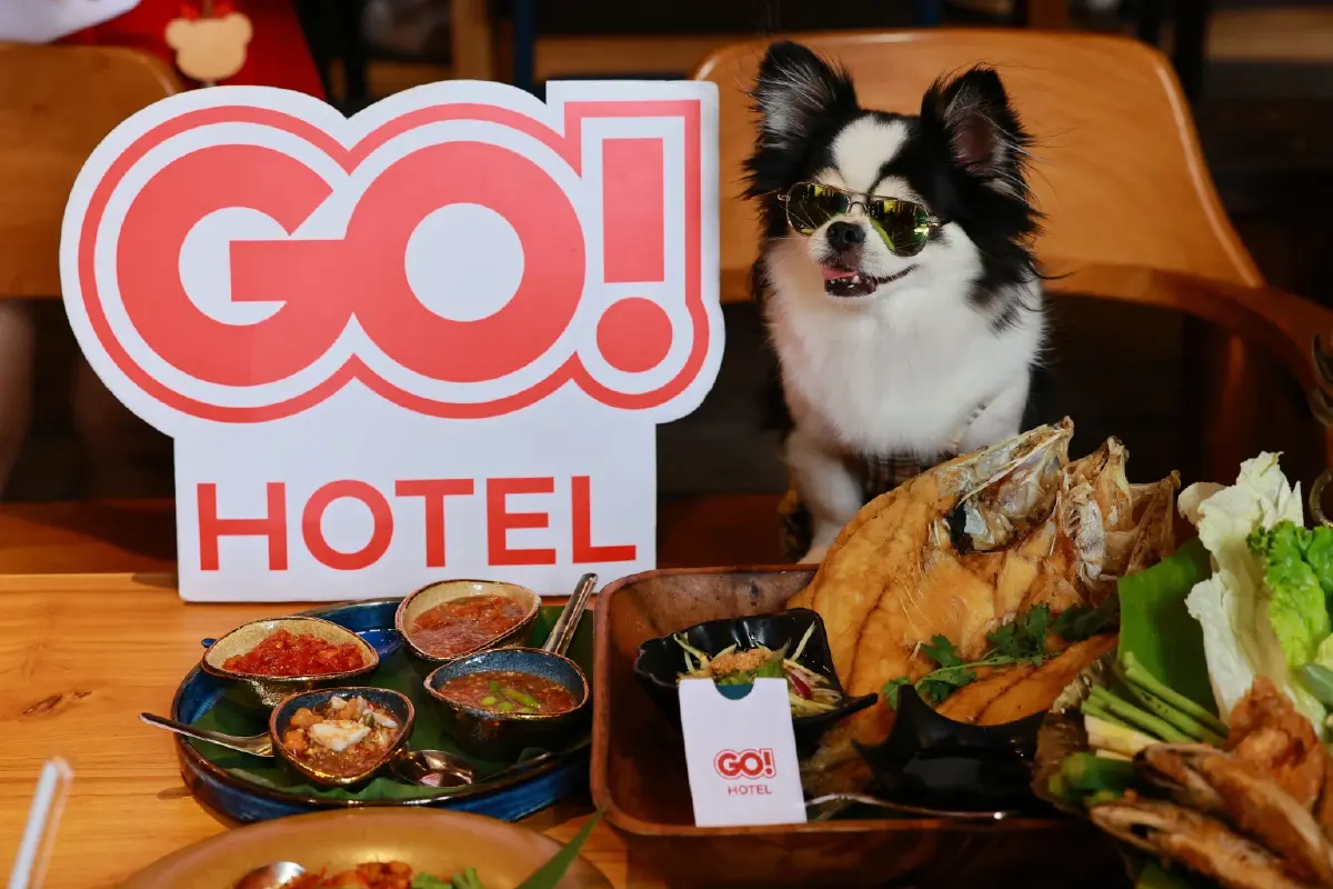 ทาสหมา-แมว ห้ามพลาด GO HOTEL ศรีราชา ให้น้องๆพักฟรี ปักหมด Pet Friendly