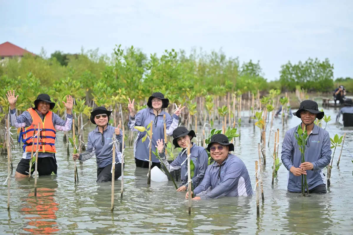 พริมา มารีน เดินหน้า “พริมาอาสา ปี 6” ปลูกป่าชายเลน สร้างอนาคตเยาวชน
