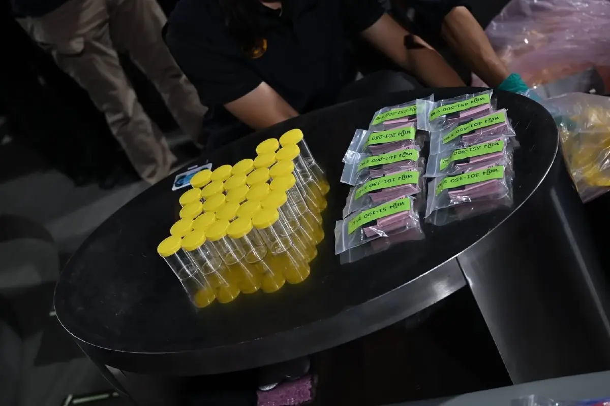 “พลพีร์ - วรศิษฎ์” บุกจับผับ 577CLUB ห้วยขวาง พบเคยถูกจับแต่ยังเปิดซ้ำ