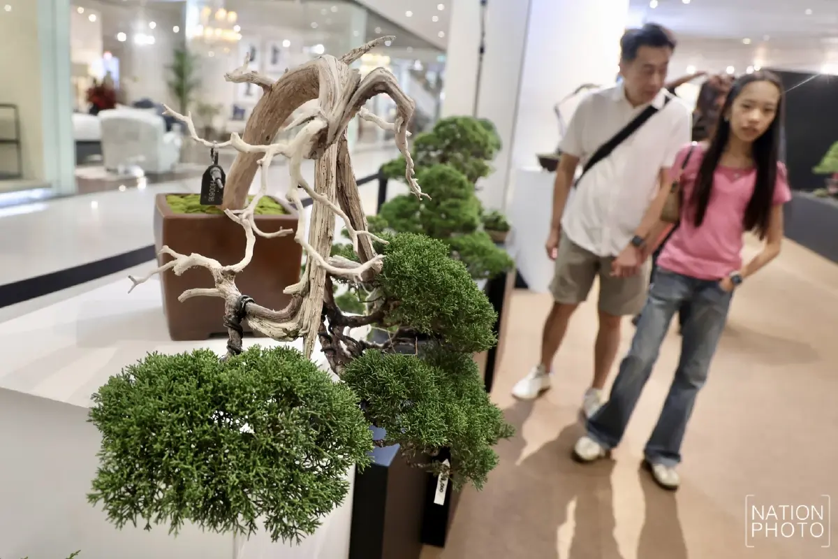 สยามพารากอน เปิดโลกนินจา-ซามูไร ชมบอนไซ 500 ปี สัมผัสมรดกญี่ปุ่น