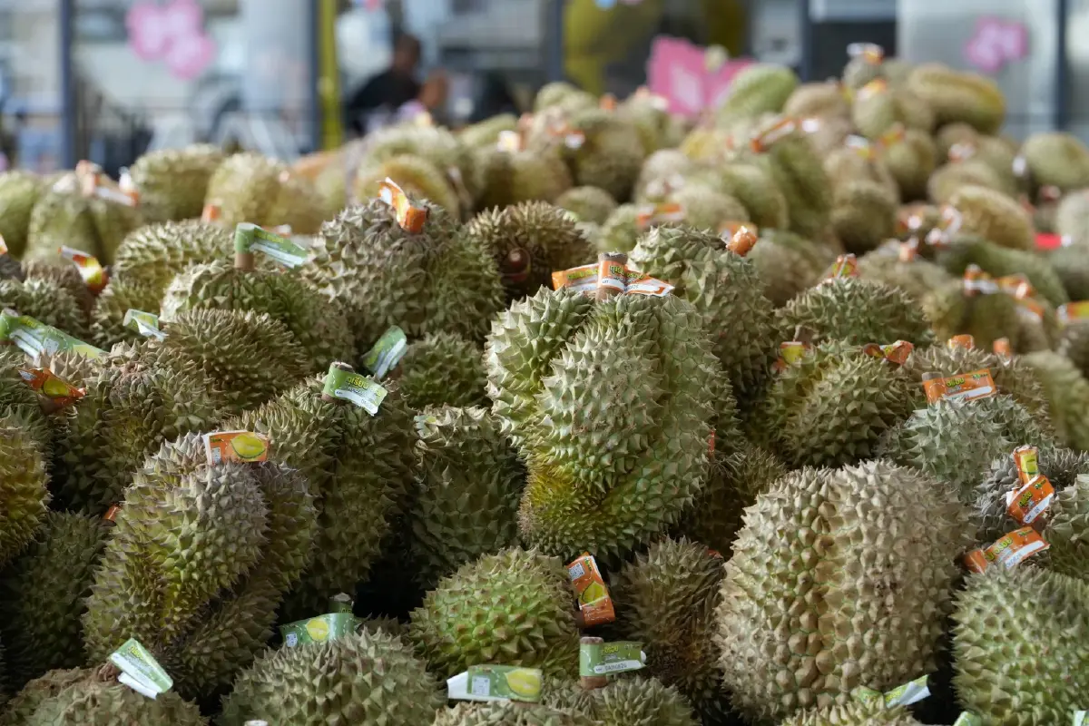 ดีอี เดินหน้า โครงการ ทุเรียนดิจิทัล สร้างมูลค่าเศรษฐกิจ 300 ล้าน