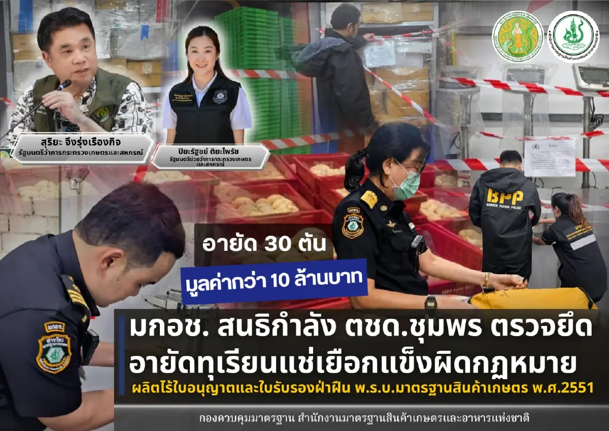 ปิยะรัฐชย์ สั่ง มกอช. ถอนรากโรงงานทุเรียนแช่แข็งเถื่อนชุมพร อายัดของกลาง 30 ตัน มูลค่ากว่า 10 ลบ.