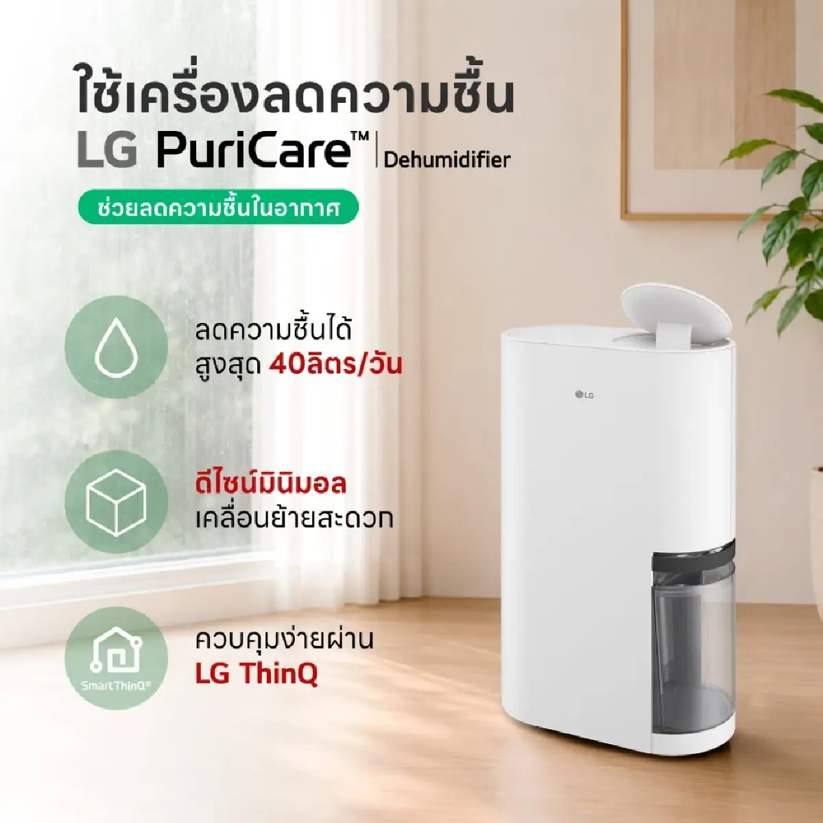 เครื่องลดความชื้นมาแรงสุดในตลาดประเทศไทย