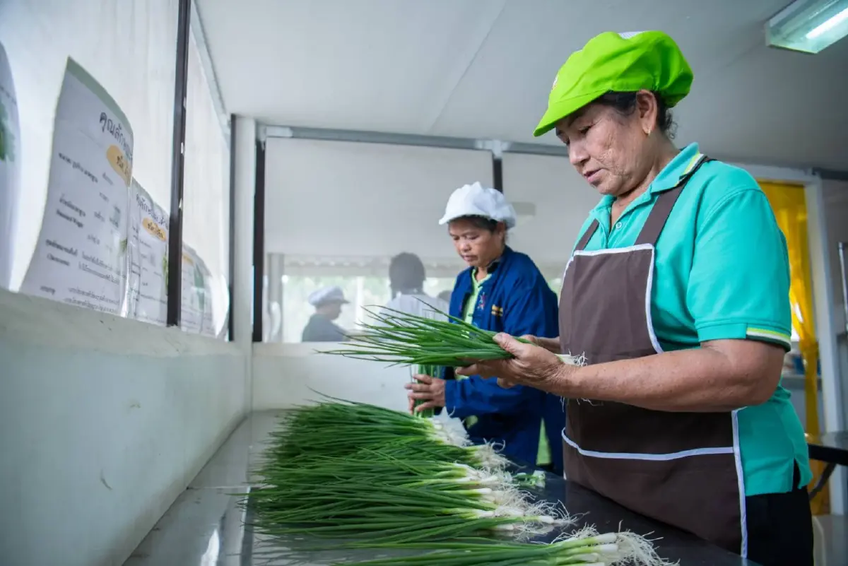 วิสาหกิจชุมชนผู้ปลูกผักบ้านโคกล่ามฯ แก้วิกฤต สู่โอกาส บุก Modern Trade