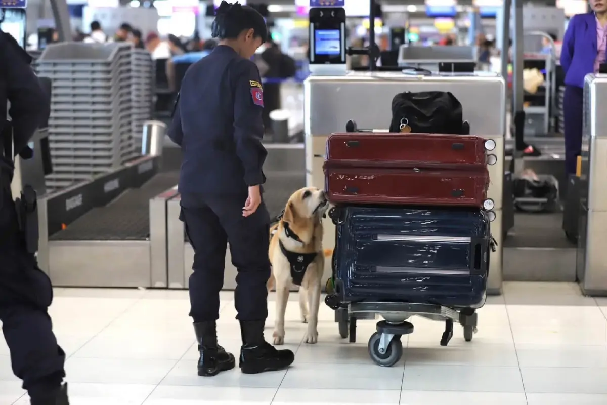 รู้ก่อนบิน! กฎใหม่สนามบินไทย จนท.เปิดค้นกระเป๋าโหลดได้ทันที ตามหลักทั่วโลก