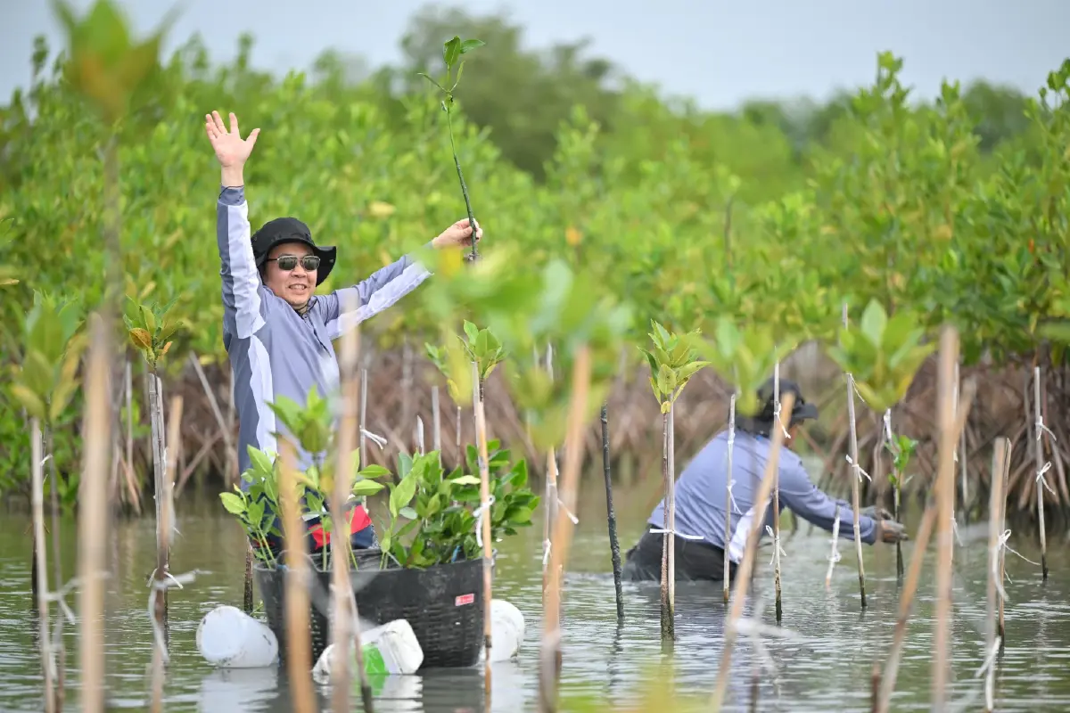 พริมา มารีน เดินหน้า “พริมาอาสา ปี 6” ปลูกป่าชายเลน สร้างอนาคตเยาวชน