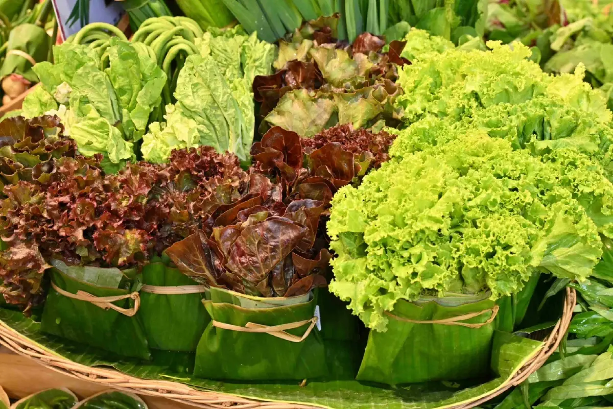 ท็อปส์ดึงวัสดุธรรมชาติจากเกษตรกร ทำแพ็กเกจจิ้งแทนพลาสติกกว่า 100 รายการ