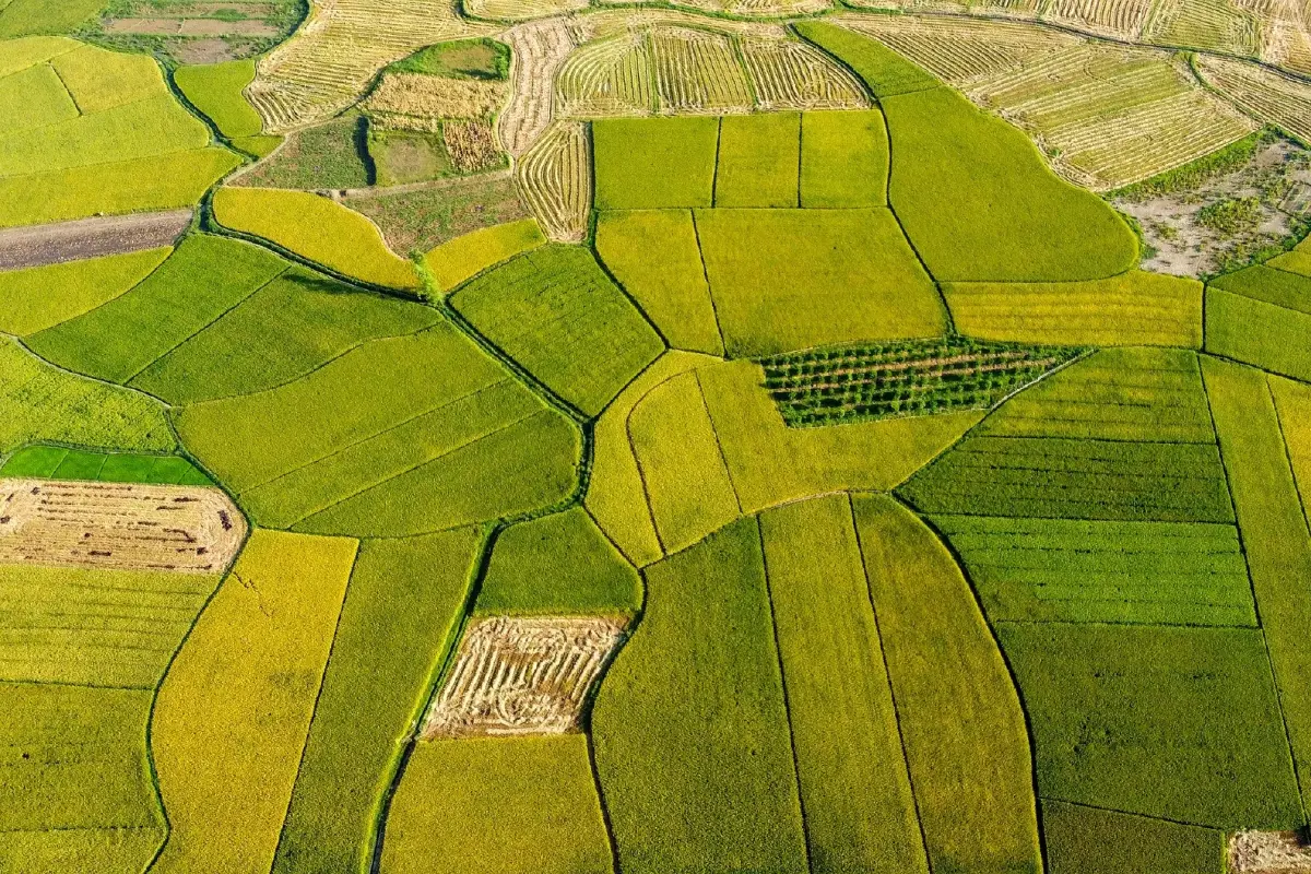 "Agri-Map 2" จากแผนที่หลายใบ สู่ “One Map” สมองกลางของเกษตรไทย