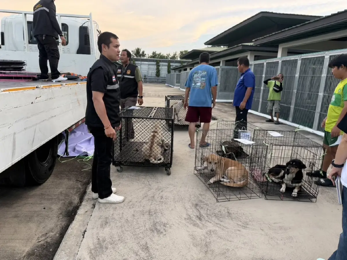 หมา-แมว ต้องรอด ! กทม.เปิดศูนย์พักพิงชั่วคราวรับน้องหนีน้ำท่วม