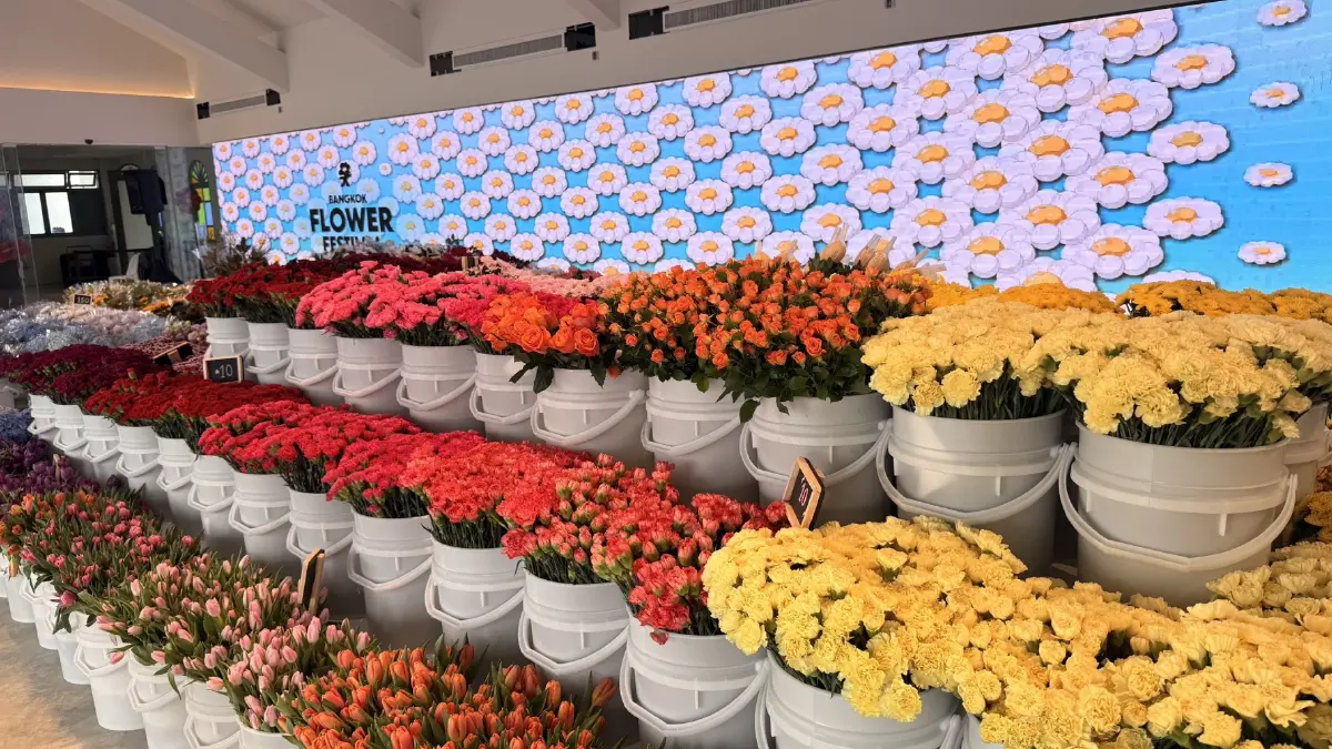 เปิดพิกัดเทศกาลดอกไม้ริมเจ้าพระยา Bangkok Flower Festival 2026 มีอะไรให้ทำบ้าง?