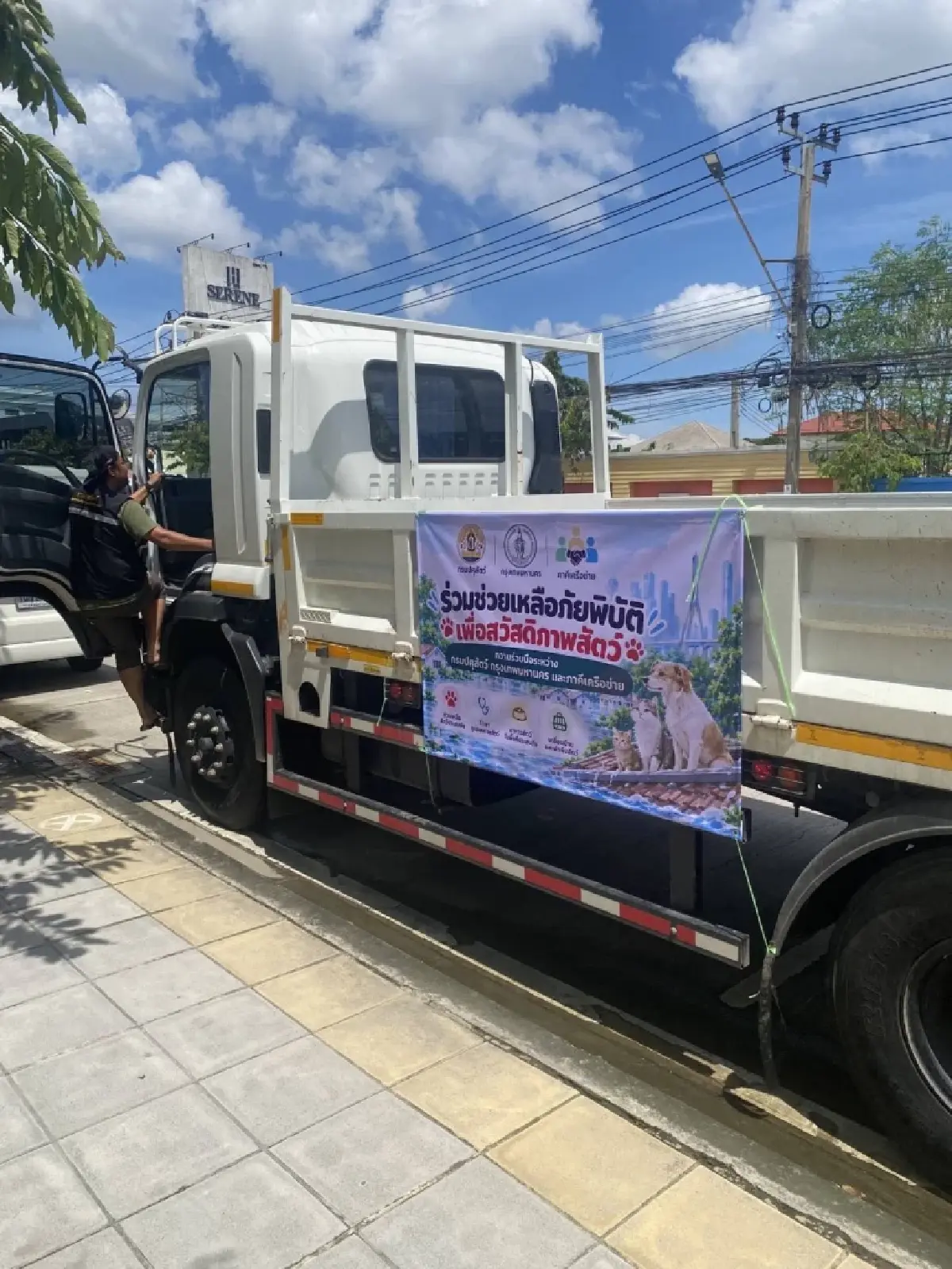 หมา-แมว ต้องรอด ! กทม.เปิดศูนย์พักพิงชั่วคราวรับน้องหนีน้ำท่วม