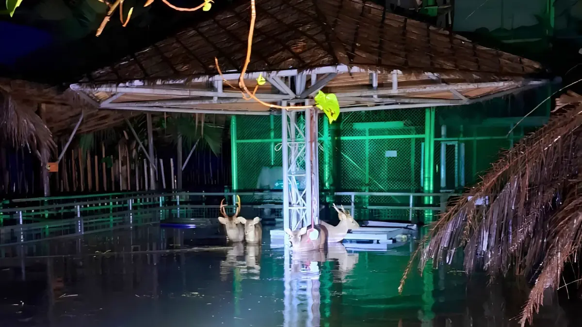 สวนสยามประกาศปิดยาว 6 เดือน เซ่นพิษน้ำท่วม เสียหายกว่า 100 ล้าน
