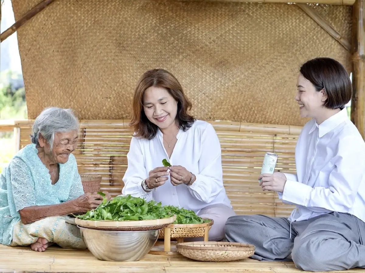 “ดีพร้อม” พาส่องโมเดลเพิ่มมูลค่า “ใบขลู่” สู่เครื่องดื่มสุขภาพยุคใหม่