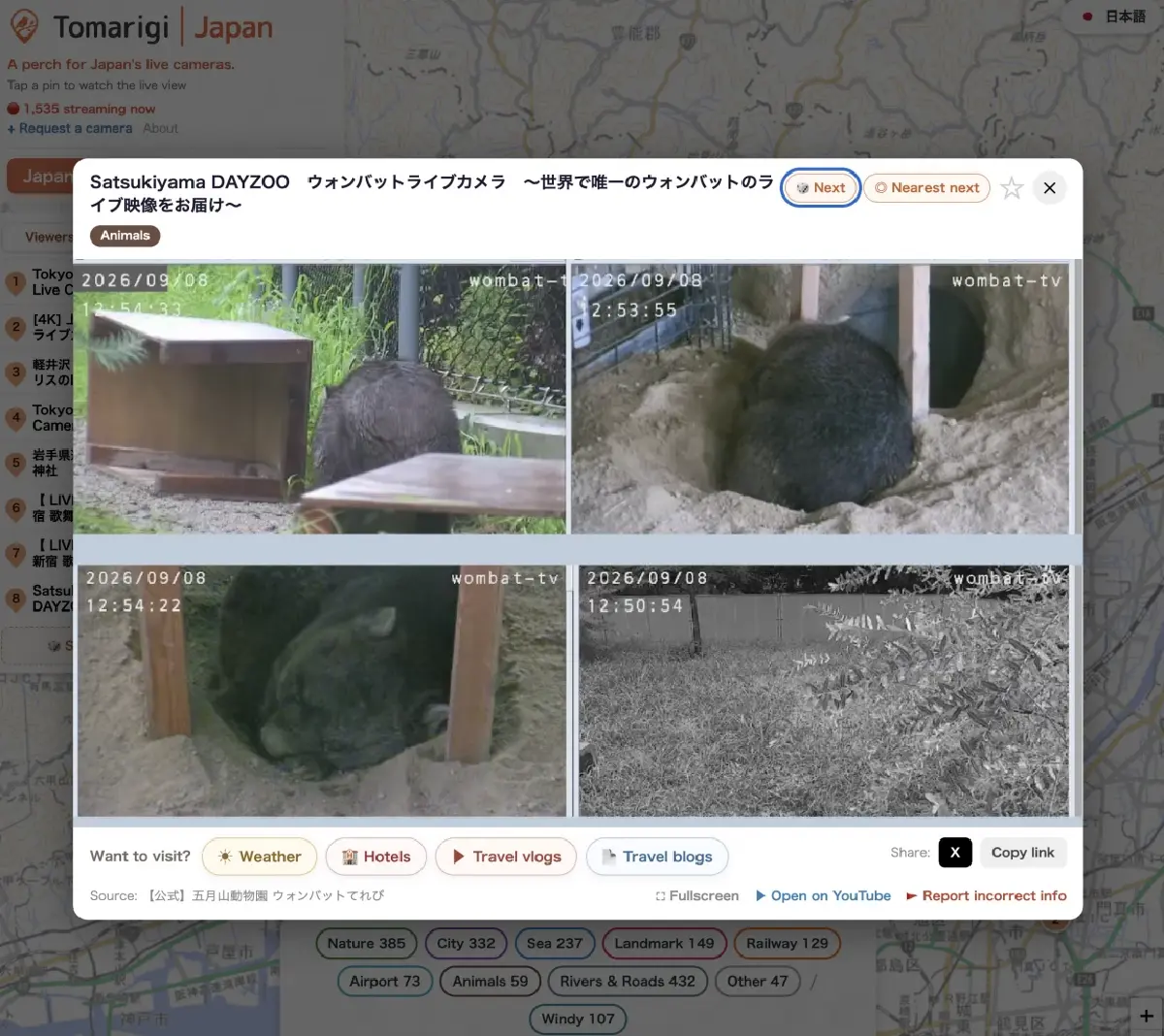 ยังไม่ต้องบินก็เที่ยวญี่ปุ่นได้! “Tomarigi” เปิด Live Camera ดูบรรยากาศจริงก่อนเดินทาง