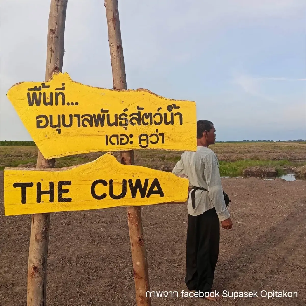 ‘ควายน้ำทะเลน้อย’ พลิกวิถีชุมชน สร้างมูลค่าใหม่ ‘พรีเมียมพัทลุงโมเดล’