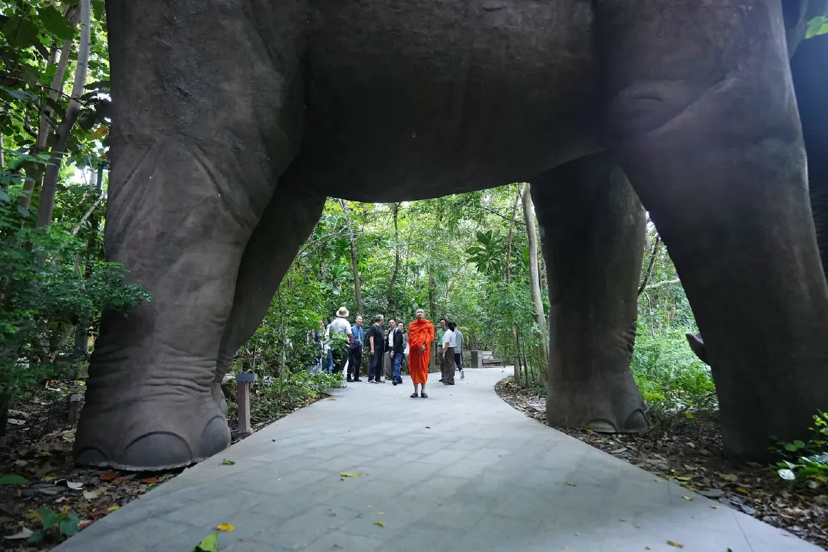 ถอดรหัส ‘ป่ามิยาวากิ’ โมเดลสร้างป่าในเมือง 7 ปี ความสำเร็จของ "เดอะ ฟอเรสเทียส์"